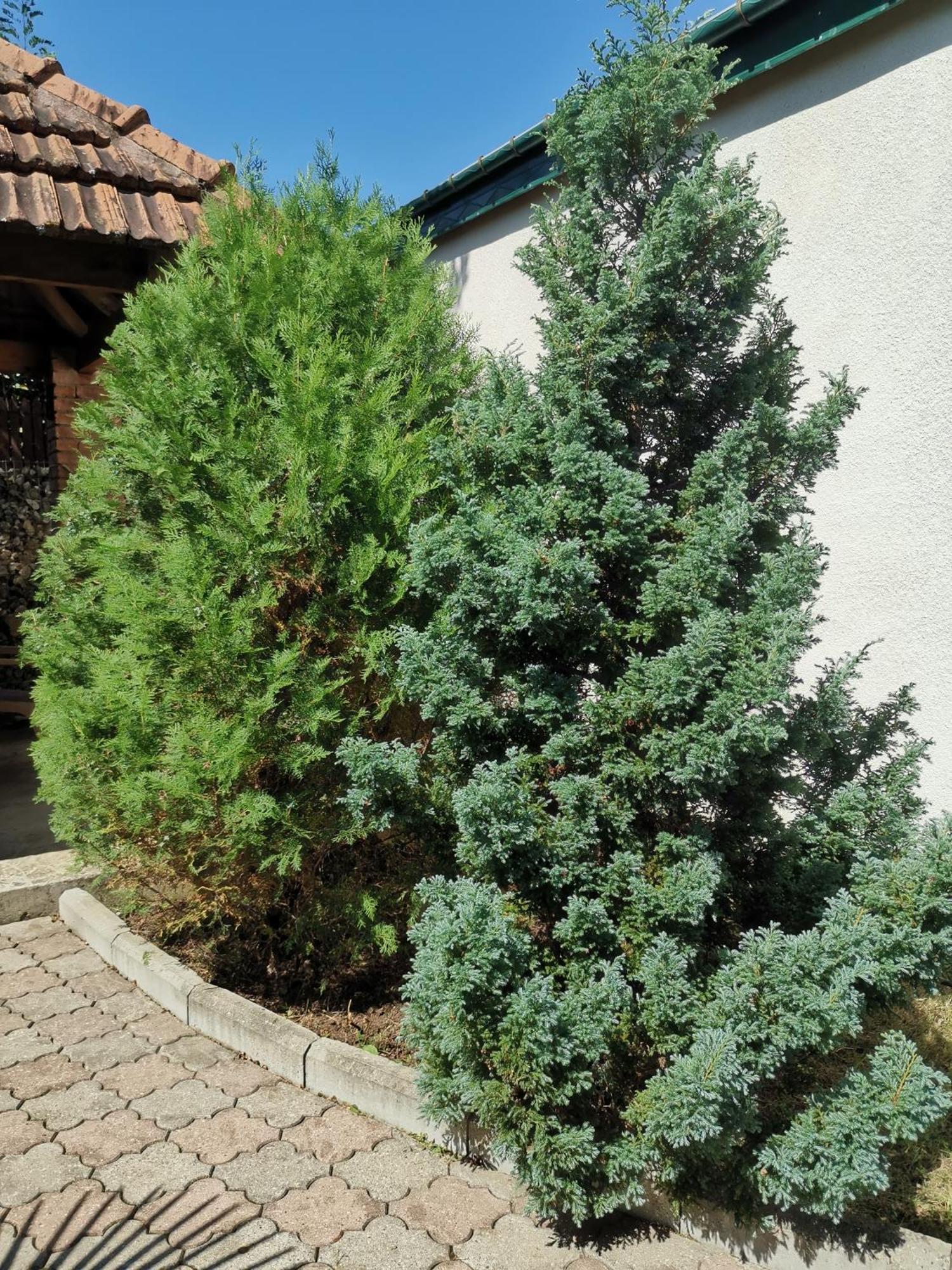 Villa Platinum Ckaltubo Zewnętrze zdjęcie